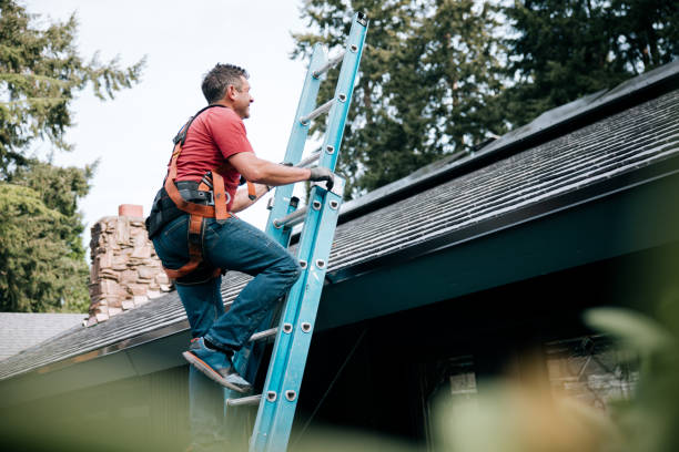 Best Roof Maintenance and Cleaning  in North Weeki Wachee, FL